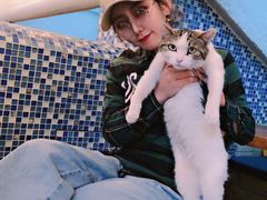 -Sirena海妖日咖夜酒