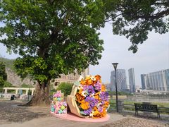 -龙环葡韵住宅式博物馆