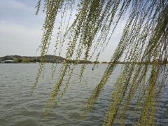 -上海月湖雕塑公园