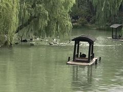 景观位-冶春茶社(珍园店)