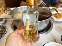 -朴小妹人参鸡汤火锅(长白山万达店)
