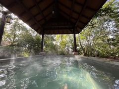 -天目湖涵田半山温泉