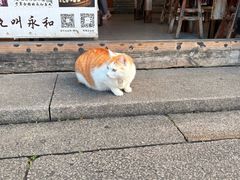 -永和鱼丸(南后街店)