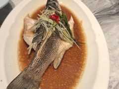 -张刚餐饮(春晓馨苑店)