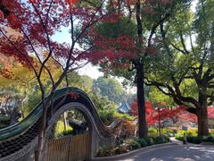 -申粤轩酒楼·三十年粤菜经典(丁香花园店)