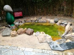 -森波拉火山温泉