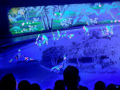 -鼎盛王朝康熙大典实景演出