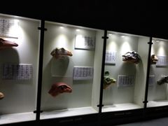 -世界恐龙谷景区