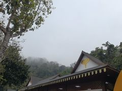 -野象谷景区