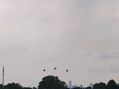 -东湖落雁景区
