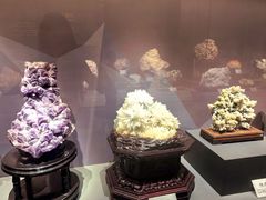 -湖南省地质博物馆