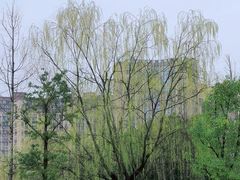 -洋湖国家湿地公园