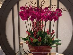 -万豪金殿(香港JW万豪酒店)