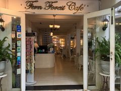 -Fern Forest Cafe