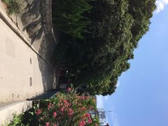 iphone_upload_pic-南丫岛