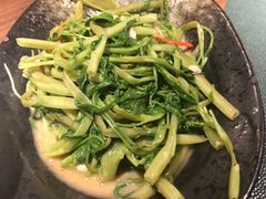 -木棉·醉心粤味(COCO Park店)