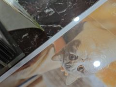 -瑞鹏·疫苗·绝育·宠物医院(金沙洲店)