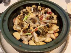 -桂满陇·海市蜃楼·黑金(国金店)