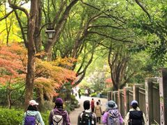 -杭州半山国家森林公园