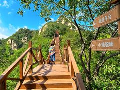 -大岭沟猕猴桃谷风景区