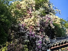 -深圳国际园林花卉博览园