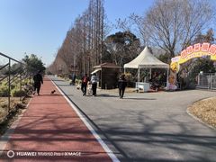 -上海长兴岛郊野公园