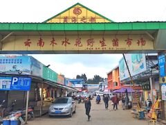 门面-菌粹源野生菌(木水花市场店)