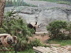 -石排湾郊野公园