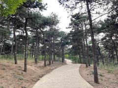 -北京西山国家森林公园
