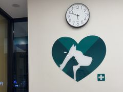 -瑞派康怡24h宠物医院·犬猫医疗中心·微创绝育(瑞景分院)