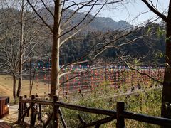 -酒仙湖景区