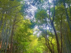 -达蓬山旅游度假区
