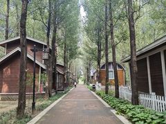 -林栖谷森林康养度假区