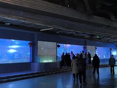 -重庆欢乐海底世界