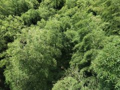 -陶祖圣境风景区