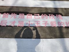 -沈阳植物园