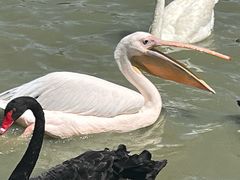 -新疆天山野生动物园