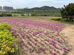 -西海岸生态观光园
