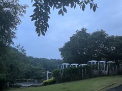 -南京四方酒店-傲途格精选·椽宫中餐厅