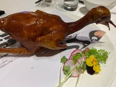 -茗鼎汇(星方汇广场店)
