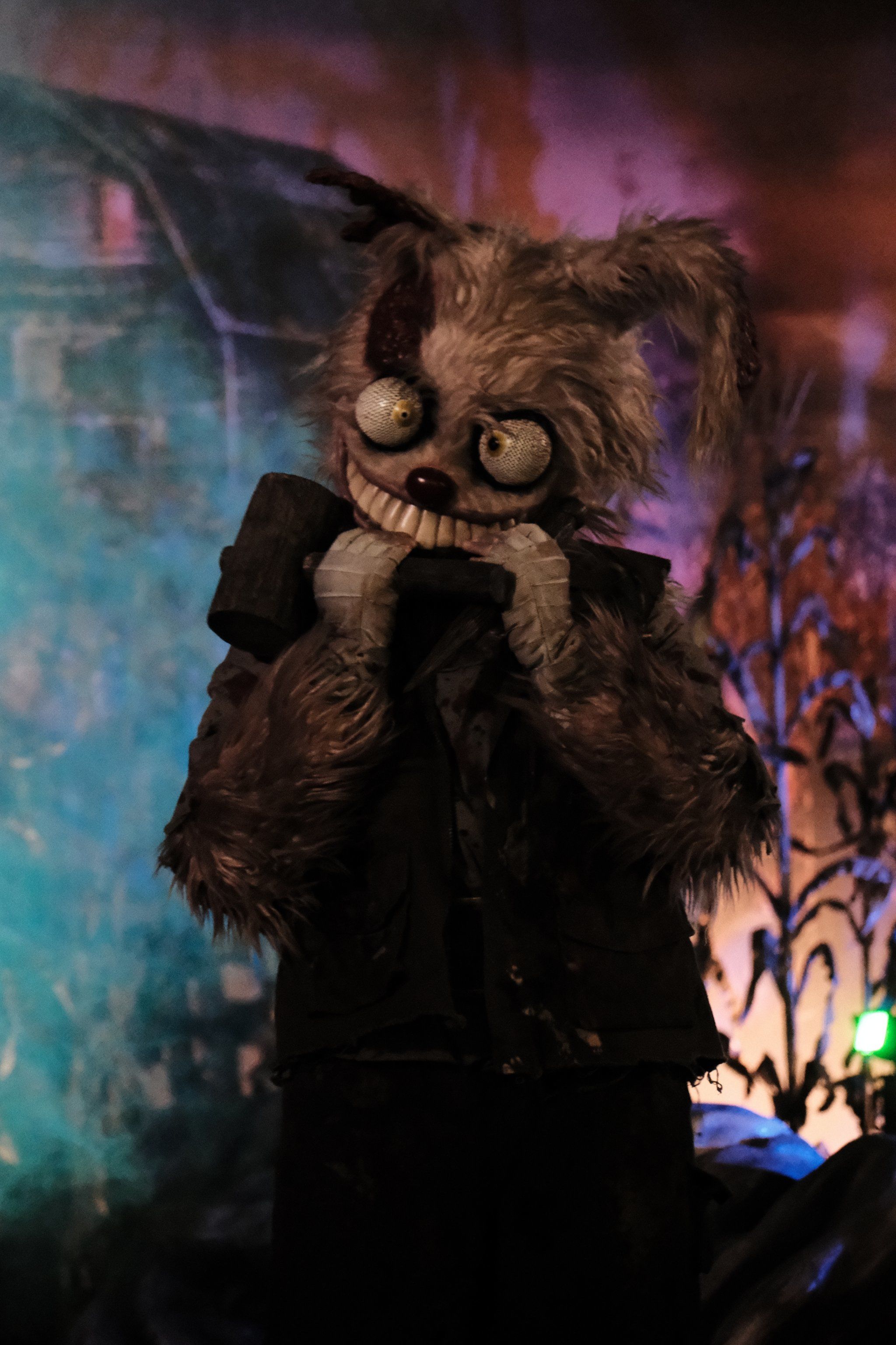 环球影城恶魔兔