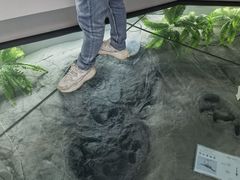-延庆地质公园博物馆