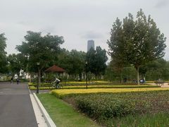 -上海山野camping·户外天幕烧烤·团建拓展营地