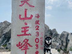 -灵山