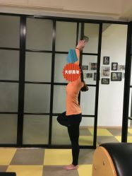 -JC·YOGA静禅瑜伽普拉提