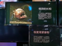 -同济大学四平路校区深海探索馆