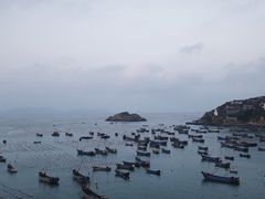 -枸杞岛
