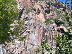 -西霞口神雕山野生动物世界