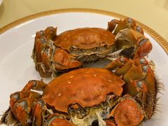 -王宝和酒家(黄浦店)