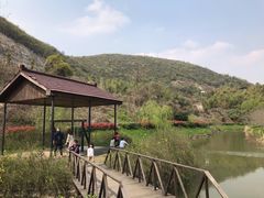 -金钉子远古世界景区